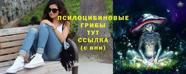 гашик Баксан