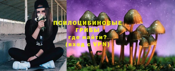 гашик Баксан