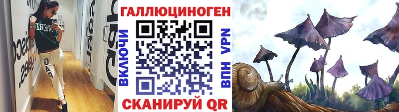 omg вход  Семилуки  Псилоцибиновые грибы Psilocybine cubensis 